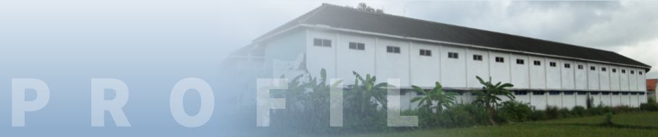 banner profil